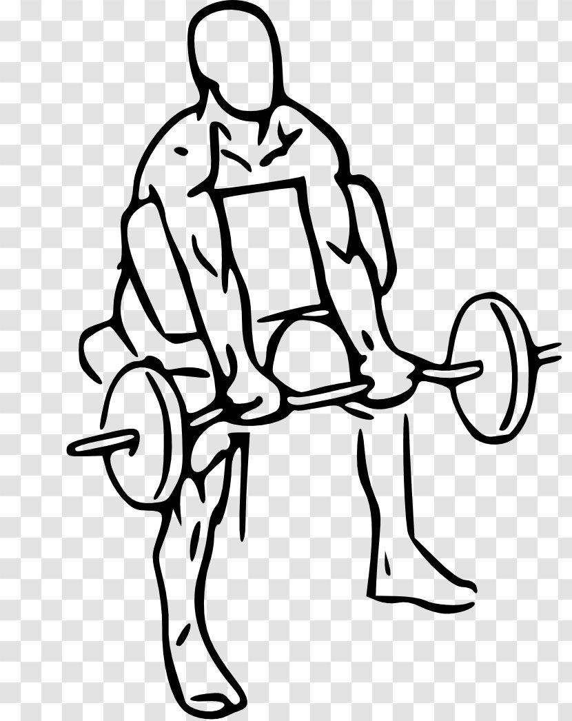 Biceps Curl Bench Barbell Physical Exercise - Tree - Title Bar Transparent PNG