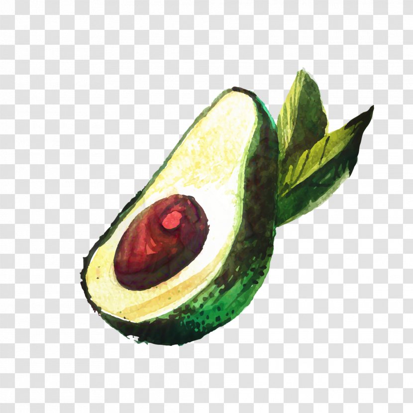 Painting Cartoon - Avocado - Superfood Anthurium Transparent PNG