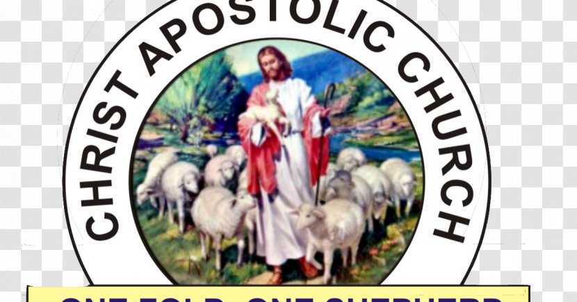 Christ Apostolic Church Christian Pastor Nigeria - Gospel Transparent PNG