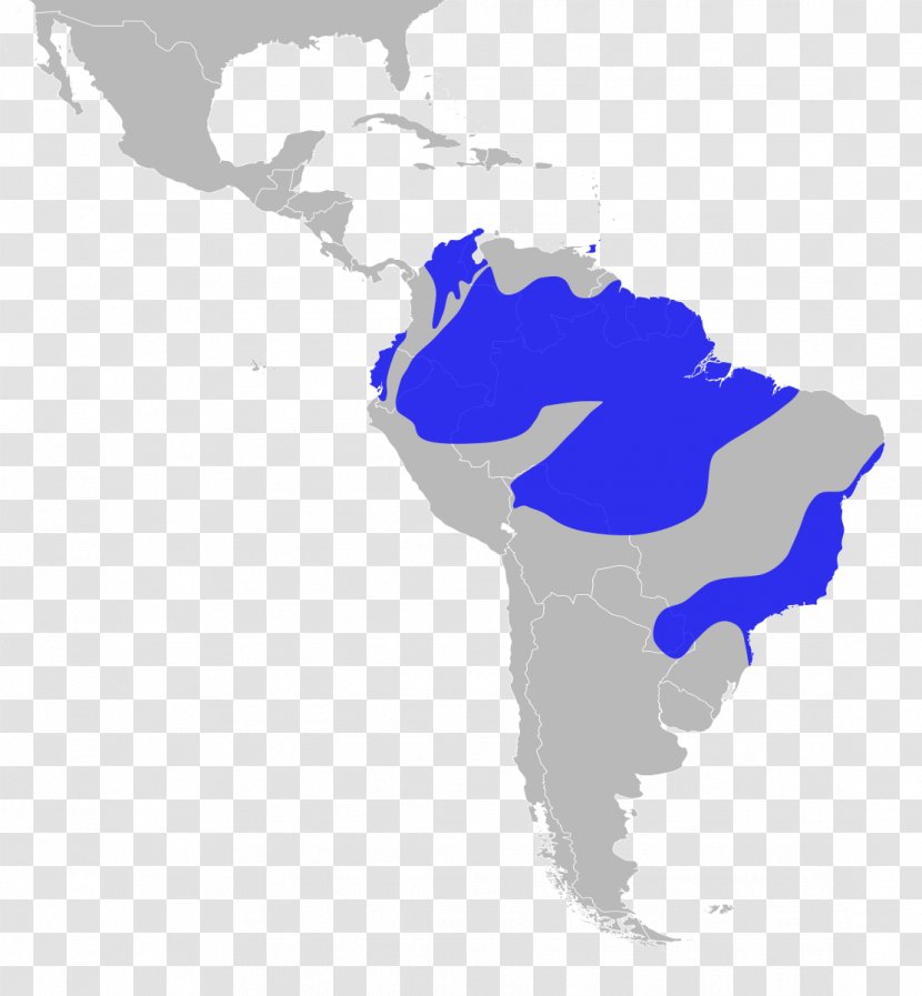 South America Latin American Wars Of Independence United States Subregion - Region Transparent PNG