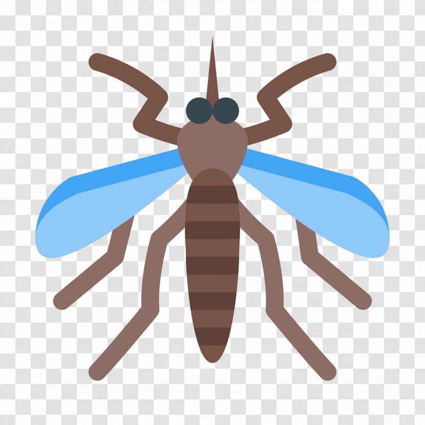 Insect Yellow Fever Mosquito Fly Transparent PNG