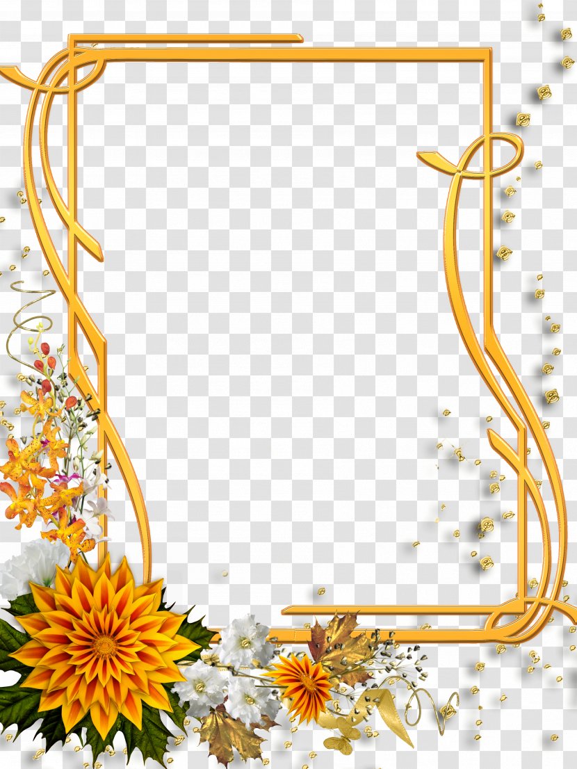 Picture Frames Image Editing Clip Art - Flowering Plant - Gold Frame Transparent PNG