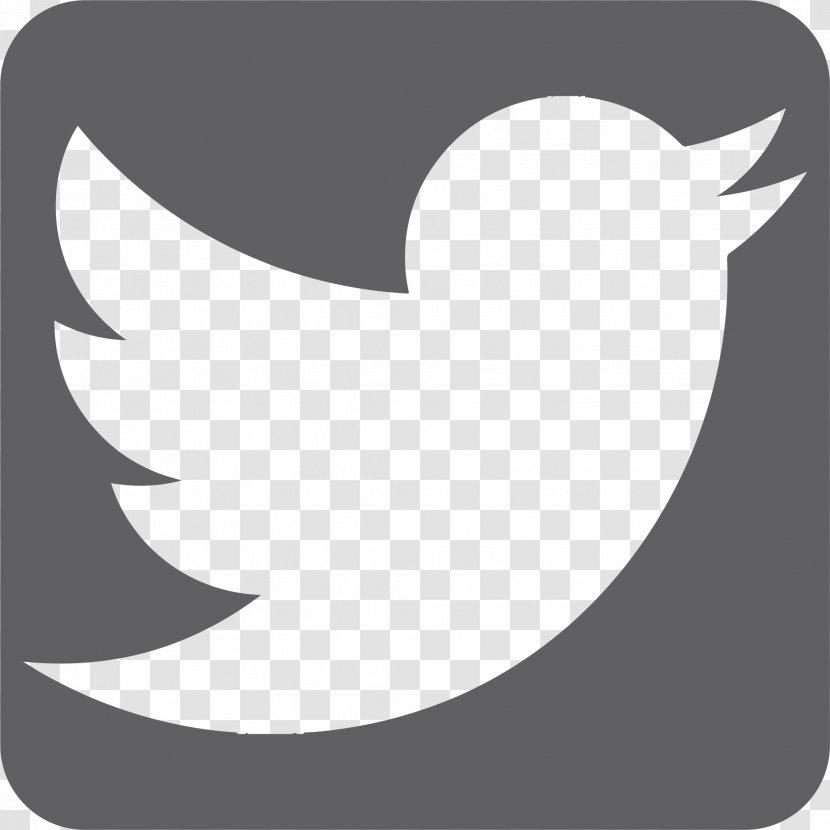Social Media Blog Durango Blues Train Twitter - Spotify Transparent PNG