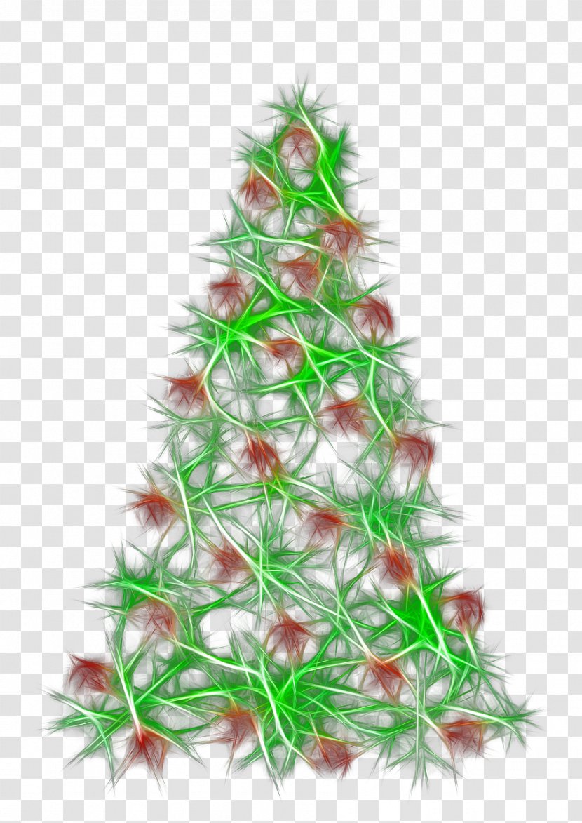 Christmas Tree Ornament Pine - Branch - Leaves Transparent PNG
