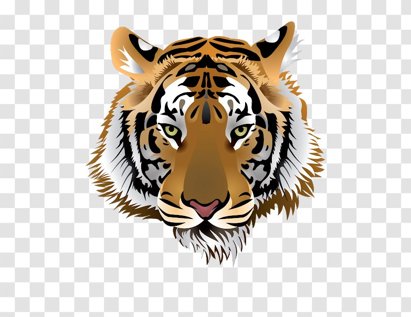 Tiger Vector Graphics Clip Art Image - Whiskers Transparent PNG