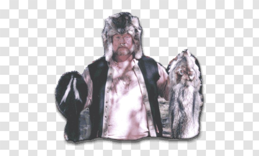 Fur Clothing Wolverine Bear Raccoon - Lynx Transparent PNG