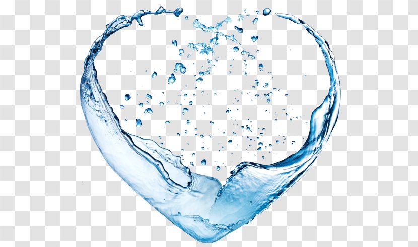 Coconut Water Ionizer Heart - Flower Transparent PNG