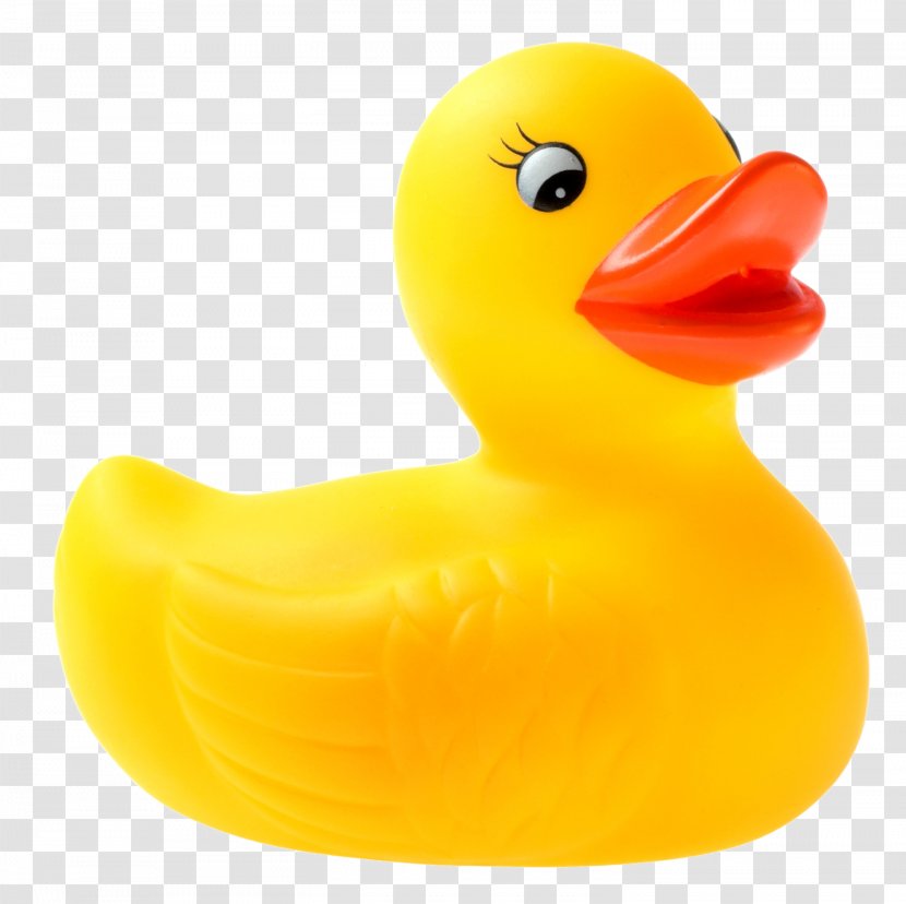 Rubber Duck National Toy Hall Of Fame Natural Clip Art - Child - Cute Little Yellow Transparent PNG