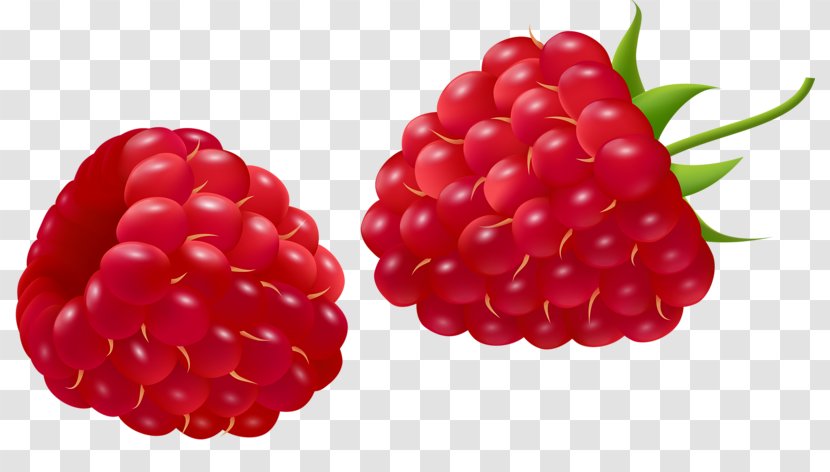 Red Raspberry Auglis Cartoon - Cranberry - FIG Fruit Transparent PNG