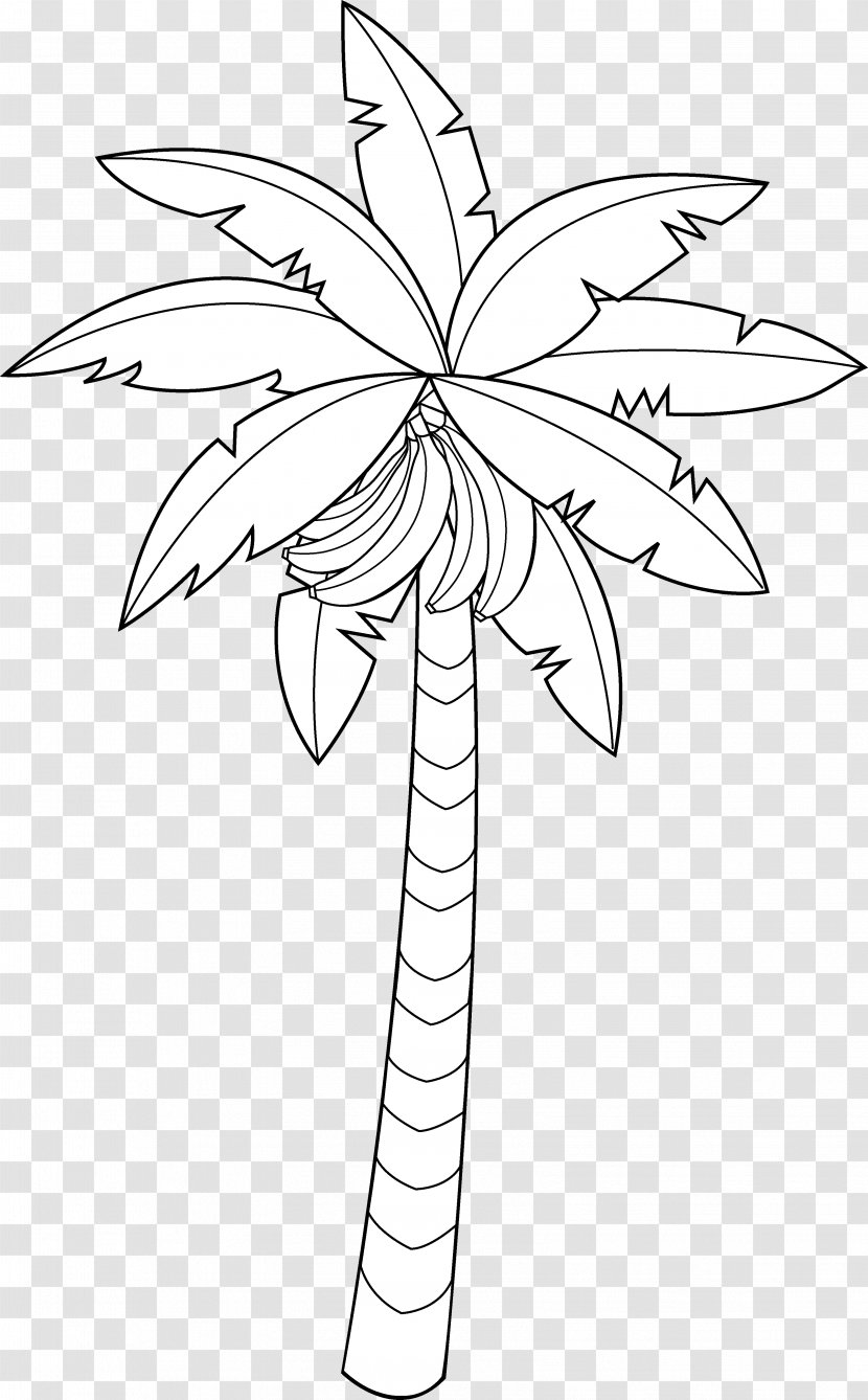 Banana Drawing Coloring Book Tree Clip Art - Child - Outline Cliparts Transparent PNG