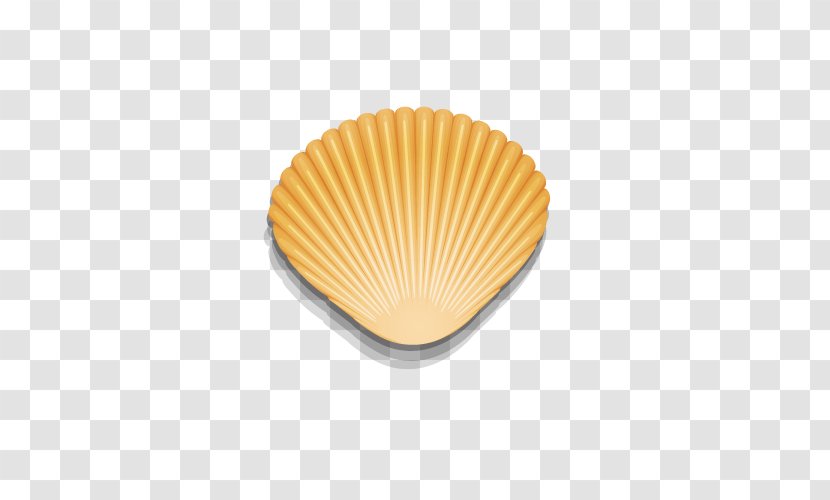 Seashell Mollusc Shell Spiral - Shellfish - Golden Transparent PNG