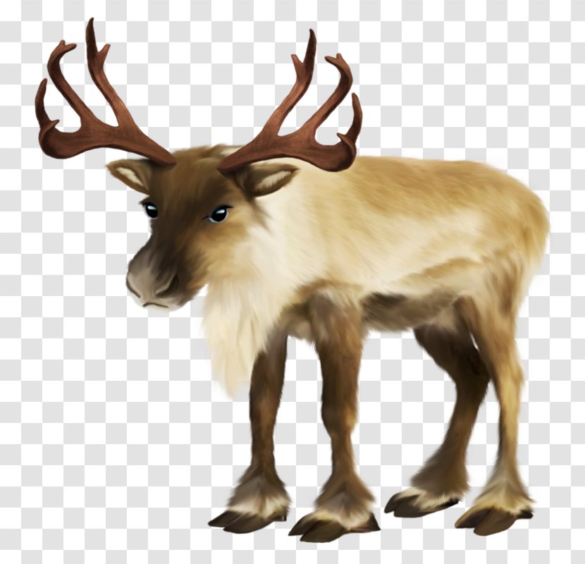 Santa Claus's Reindeer Rudolph Sled - Antler - Claus Transparent PNG