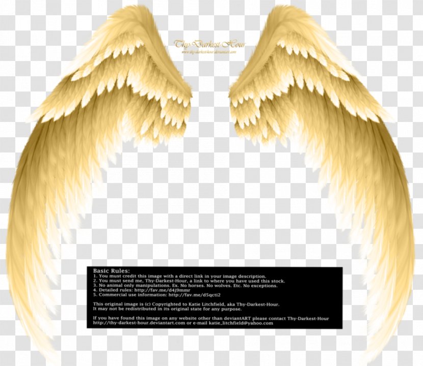 Angel Clip Art - Jaw - Wings Transparent PNG