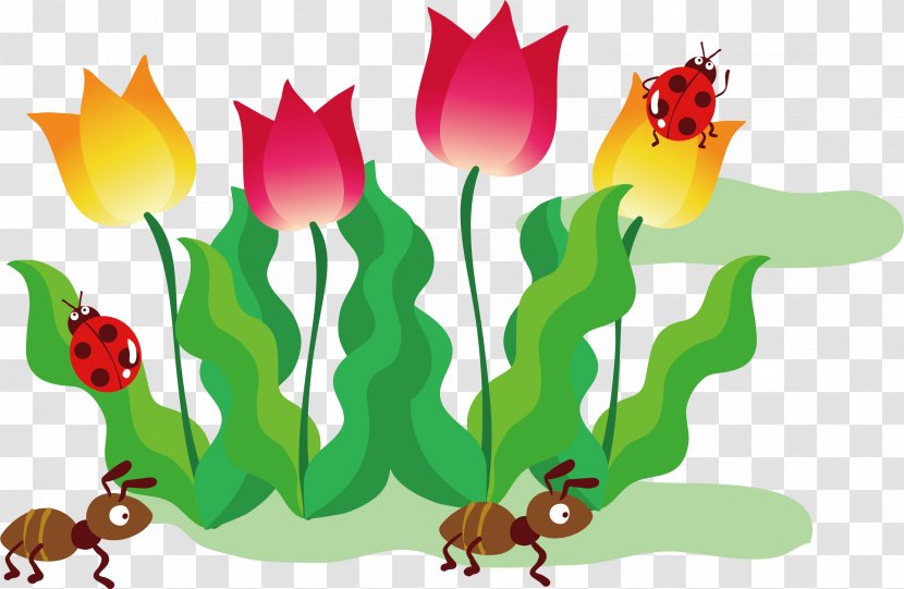 Tulip Drawing Illustration - Invertebrate - Hand-painted Vector Transparent PNG