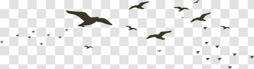 Beak Black And White Technology Pattern - Rows Of Wild Geese Transparent PNG