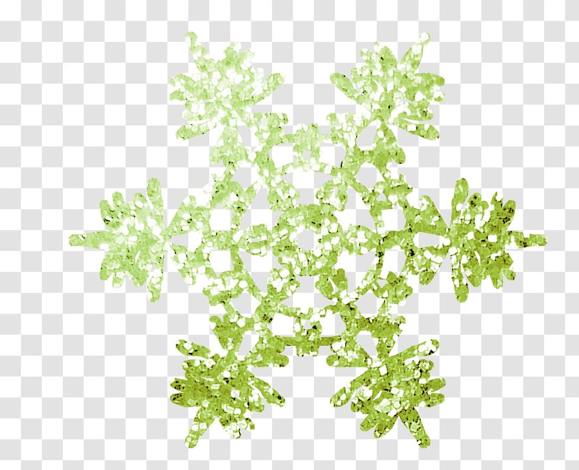 Snowflake Image - Leaf Transparent PNG