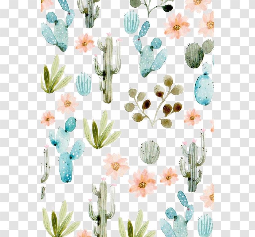 Cactaceae Succulent Plant Wallpaper - Cactus Transparent PNG