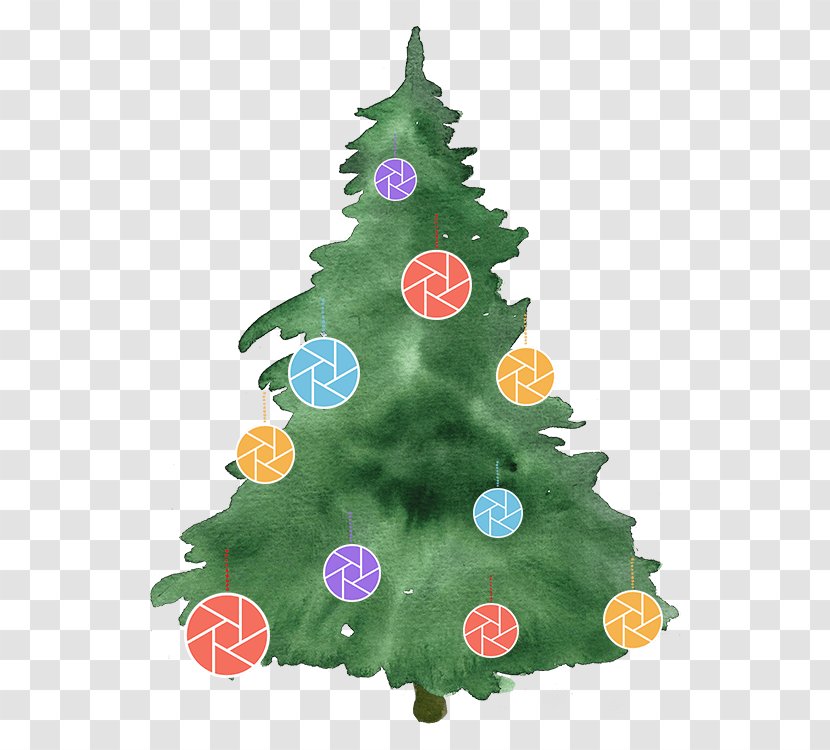 Christmas Tree Photography Watercolor Painting - Camera Transparent PNG