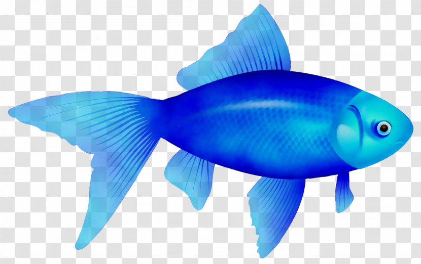 Clip Art Transparency Image Fish - Organism - Rayfinned Transparent PNG
