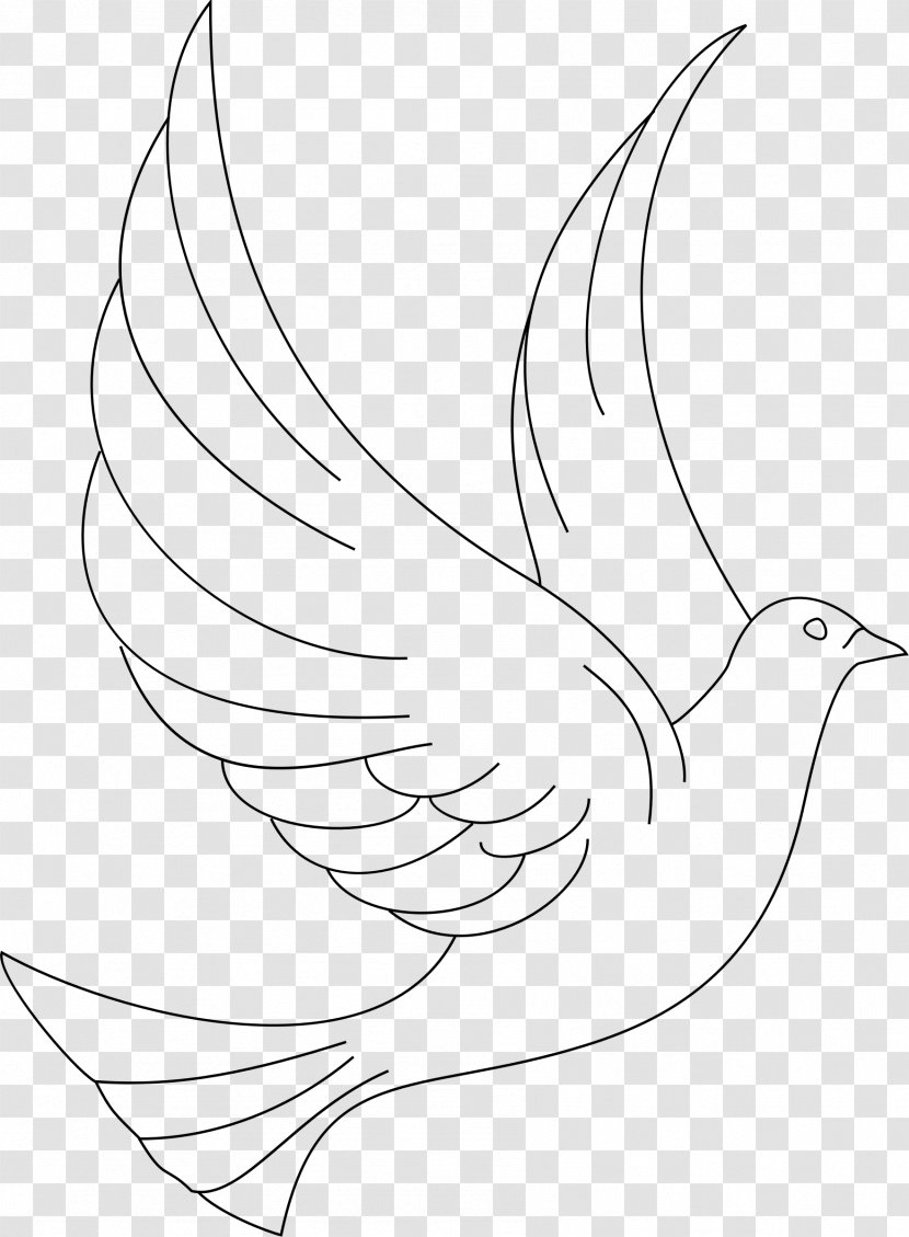 Coloring Book Line Art Drawing Bird Clip - DOVE Transparent PNG