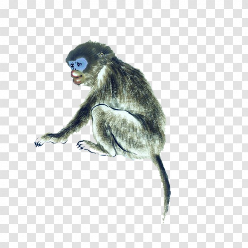 Chinese Zodiac Monkey Tai Sui - Organism - Of Style Transparent PNG