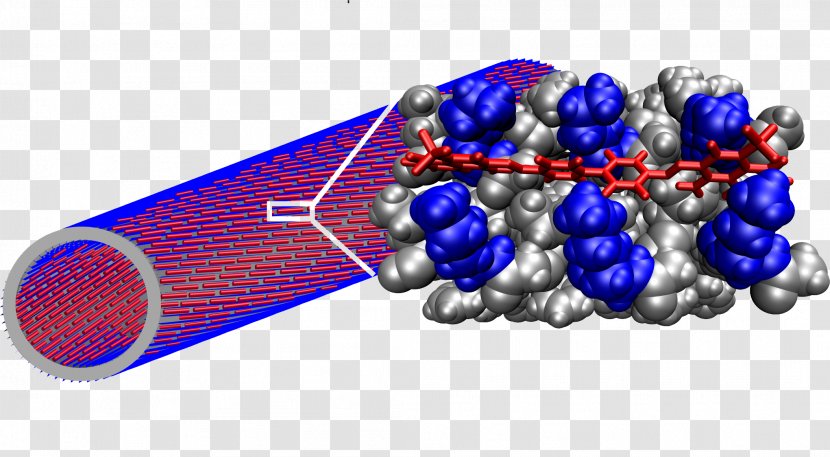 Amyloid Beta Congo Red Fibril Chemistry - Frame - Binding Transparent PNG