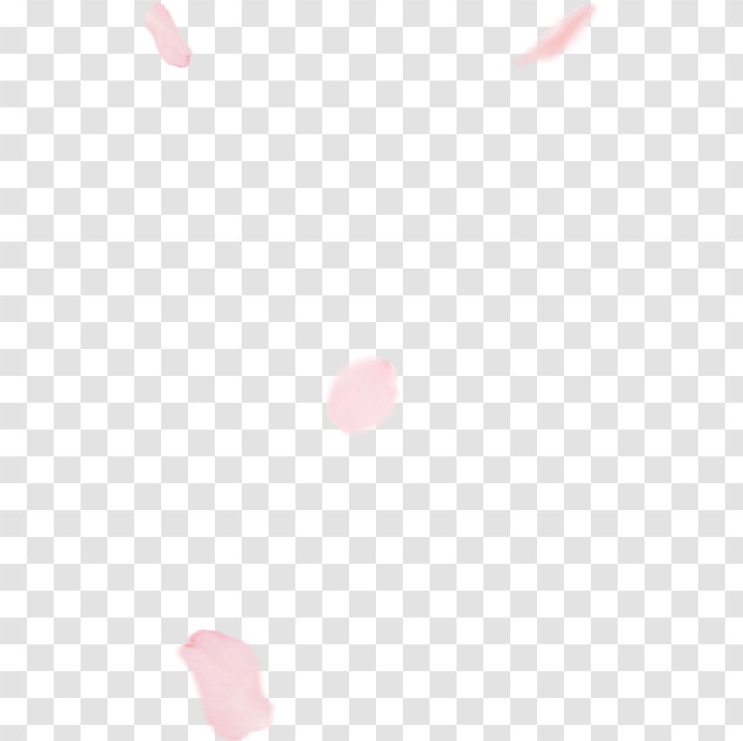 Petal Cherry Blossom Pie - Sour Transparent PNG