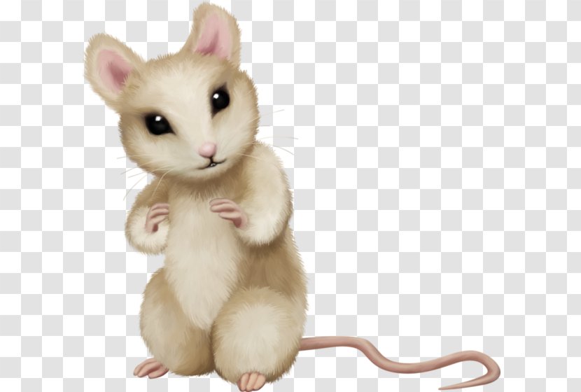 Mouse Rat - Virginia Opossum Transparent PNG