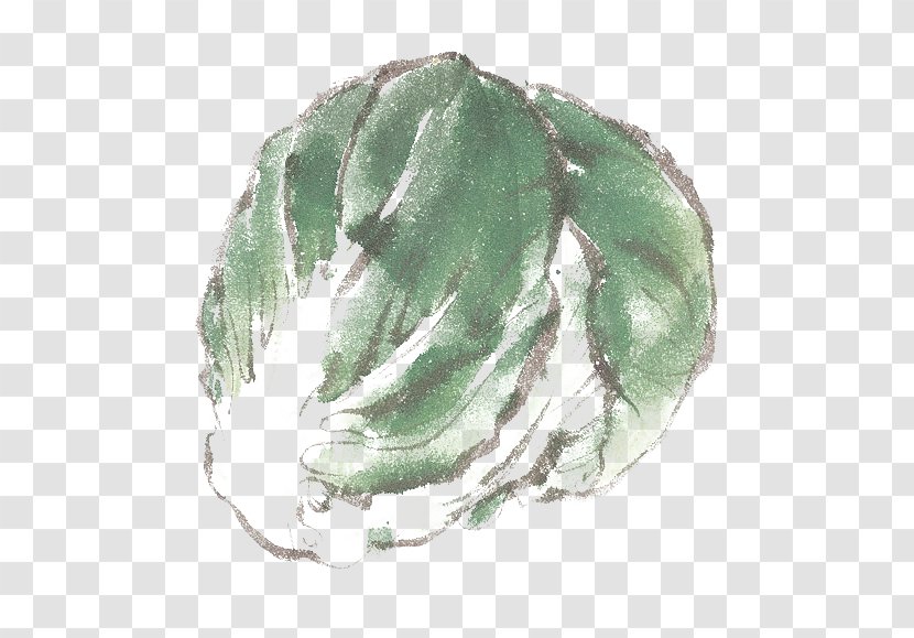 Vegetable Napa Cabbage Clip Art - Green - Ink Transparent PNG