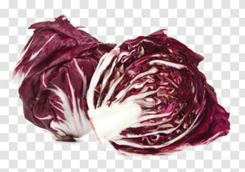 Radicchio Endive Greens Salad Cabbage - Vegetable - Textile Transparent PNG