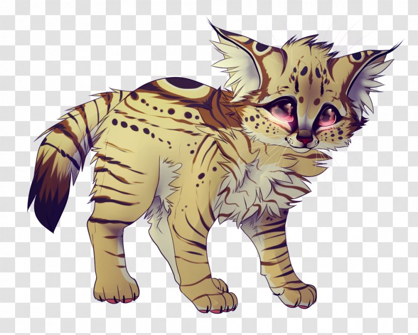 Whiskers Tiger Wildcat Paw - Fauna Transparent PNG