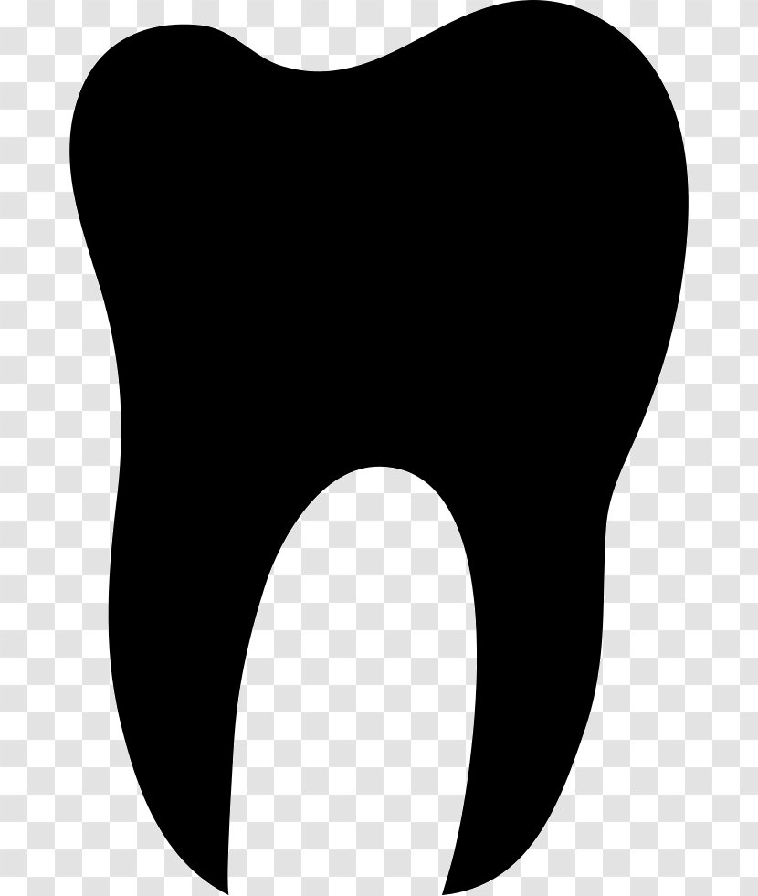 Clip Art - Silhouette - Tooth Vector Transparent PNG