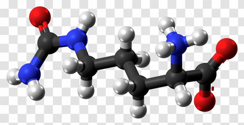 Citrulline Arginine Nitric Oxide Synthase Ball-and-stick Model Carbamoyl Phosphate - Chemical Compound - Ballandstick Transparent PNG