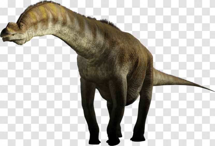 Argentinosaurus Giraffatitan Sauropoda Seismosaurus - Dinosaur Transparent PNG