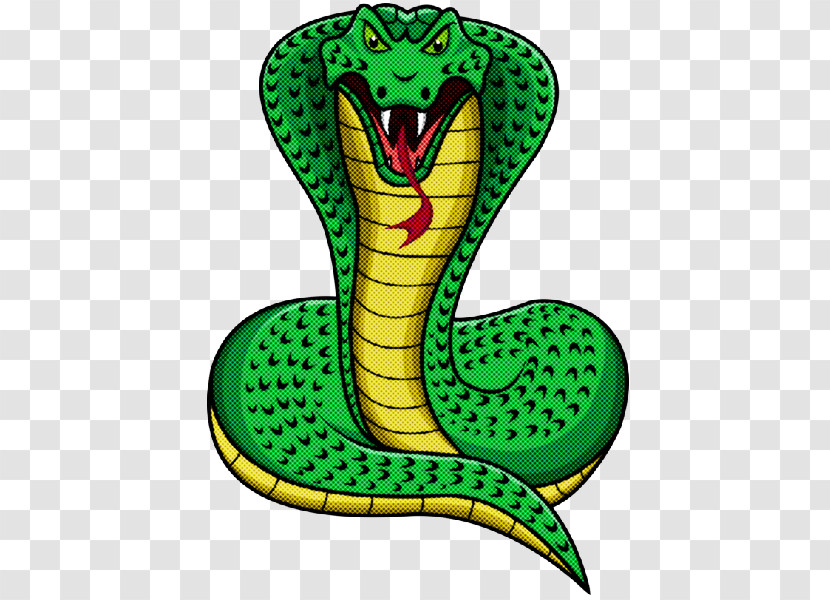 Green King Cobra Serpent Snake Elapidae Transparent PNG