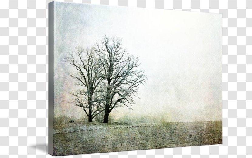 Painting Picture Frames Winter Sky Plc Branching - Landscape Transparent PNG