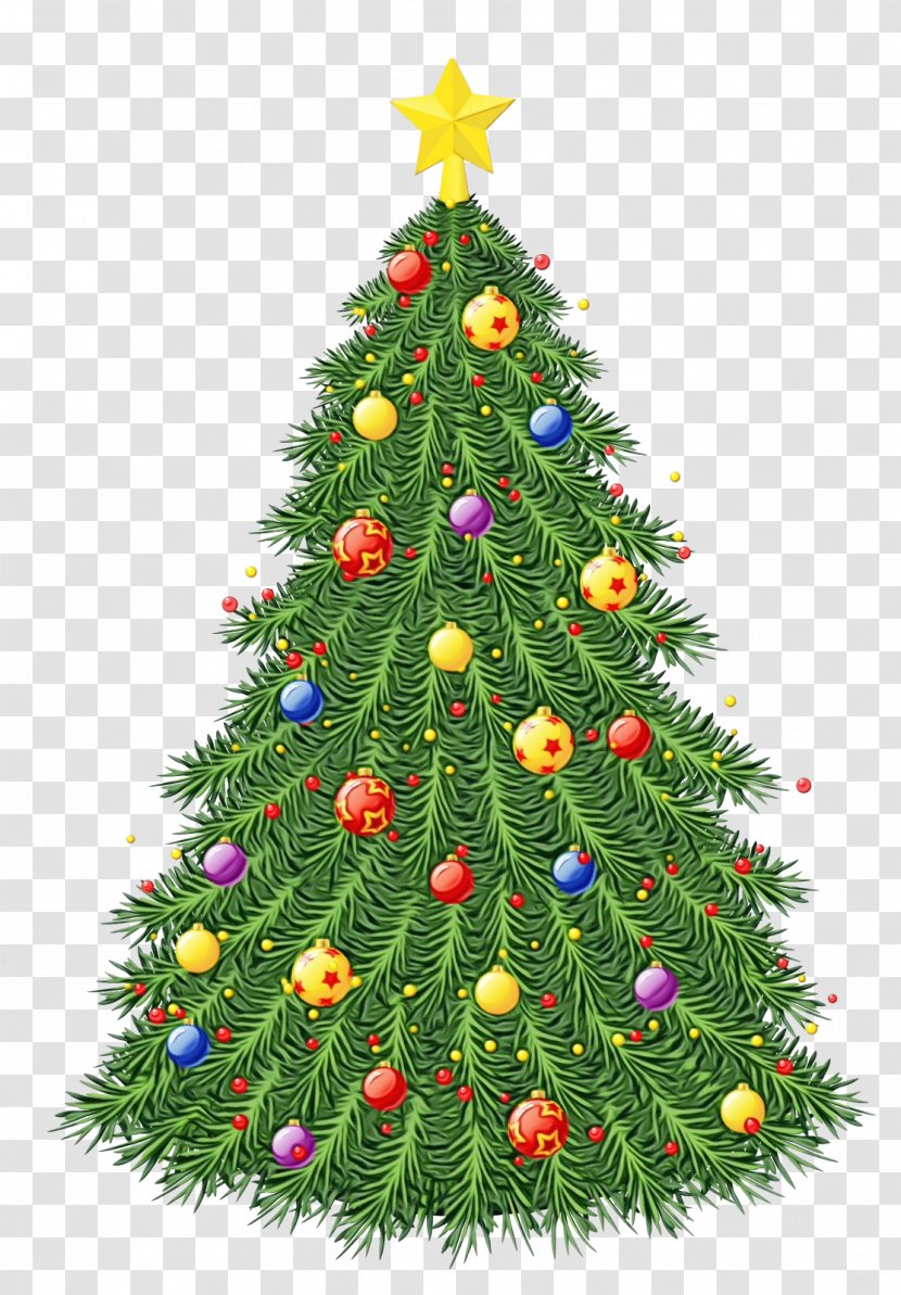 Christmas Tree - Holiday Ornament - Pine Evergreen Transparent PNG