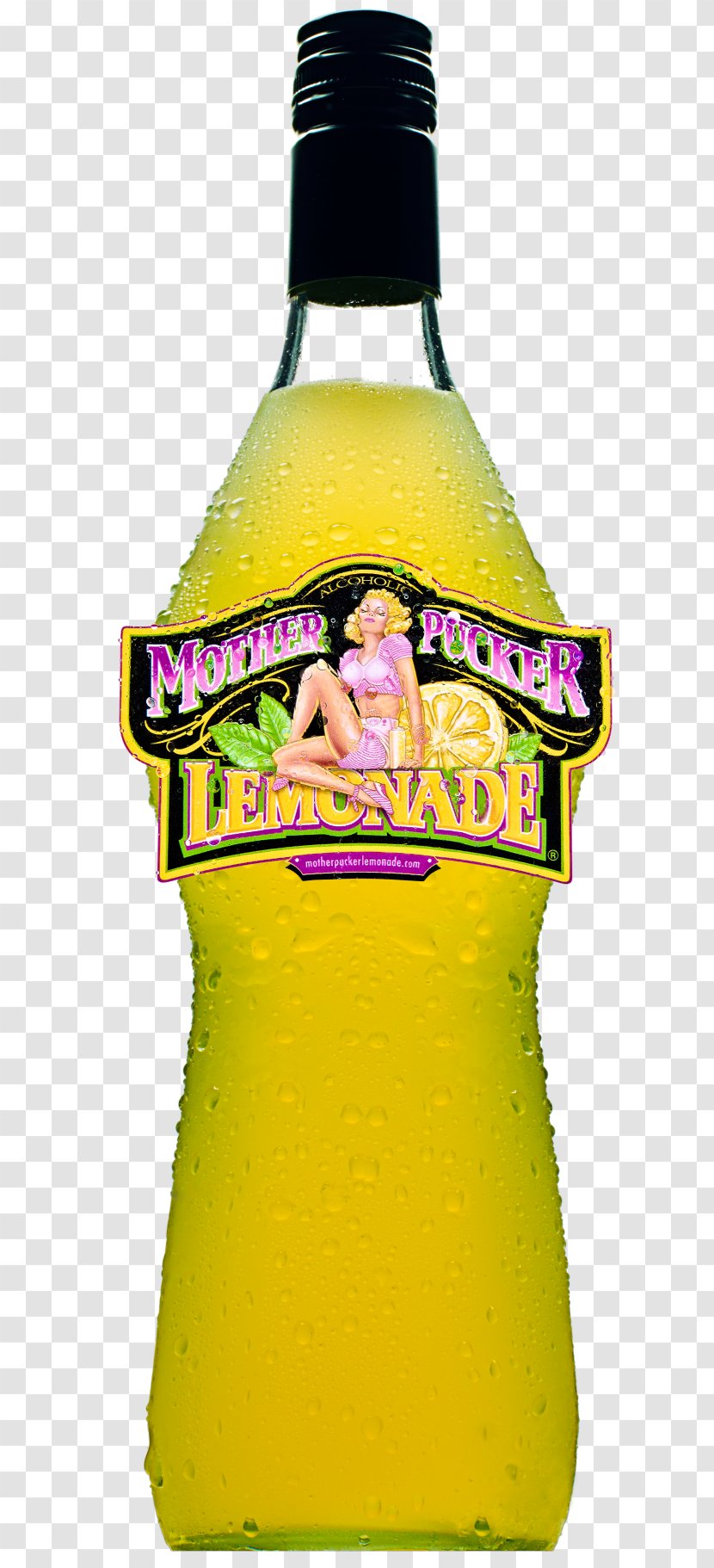 Liqueur Beer Bottle Caribbean Photography Transparent PNG