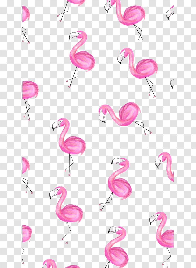 Greater Flamingo Paper Wallpaper - Clip Art - Flamingos Transparent PNG