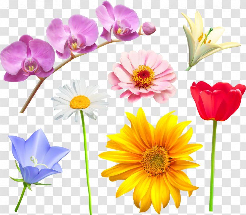 Flower Royalty-free Stock Photography Clip Art - Floral Design - Vector Flowers Transparent PNG