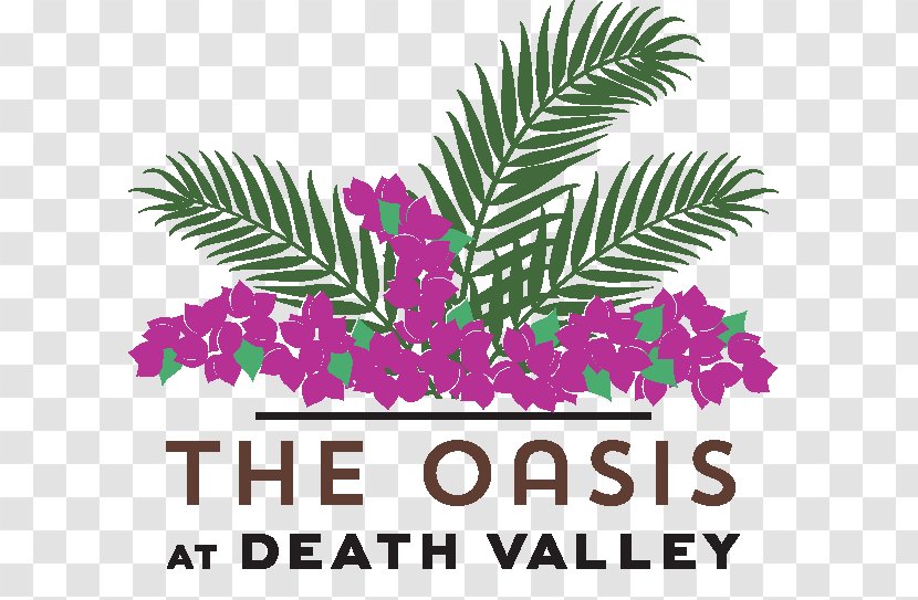 The Oasis At Death Valley Furnace Creek National Park Resort - Desert Transparent PNG