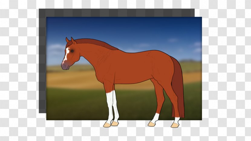Mustang Stallion Foal Colt Mare - Rein Transparent PNG
