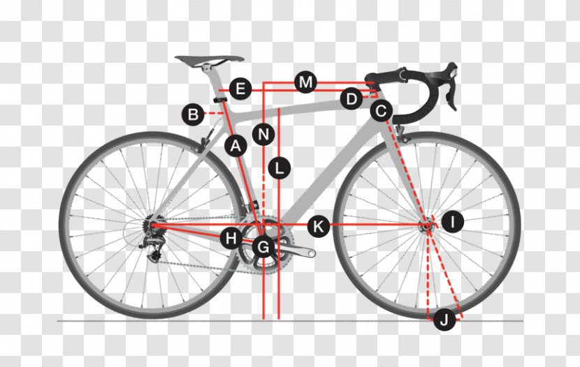 Bicycle Wheels Trek Corporation Geometry Frames - Road Race Transparent PNG