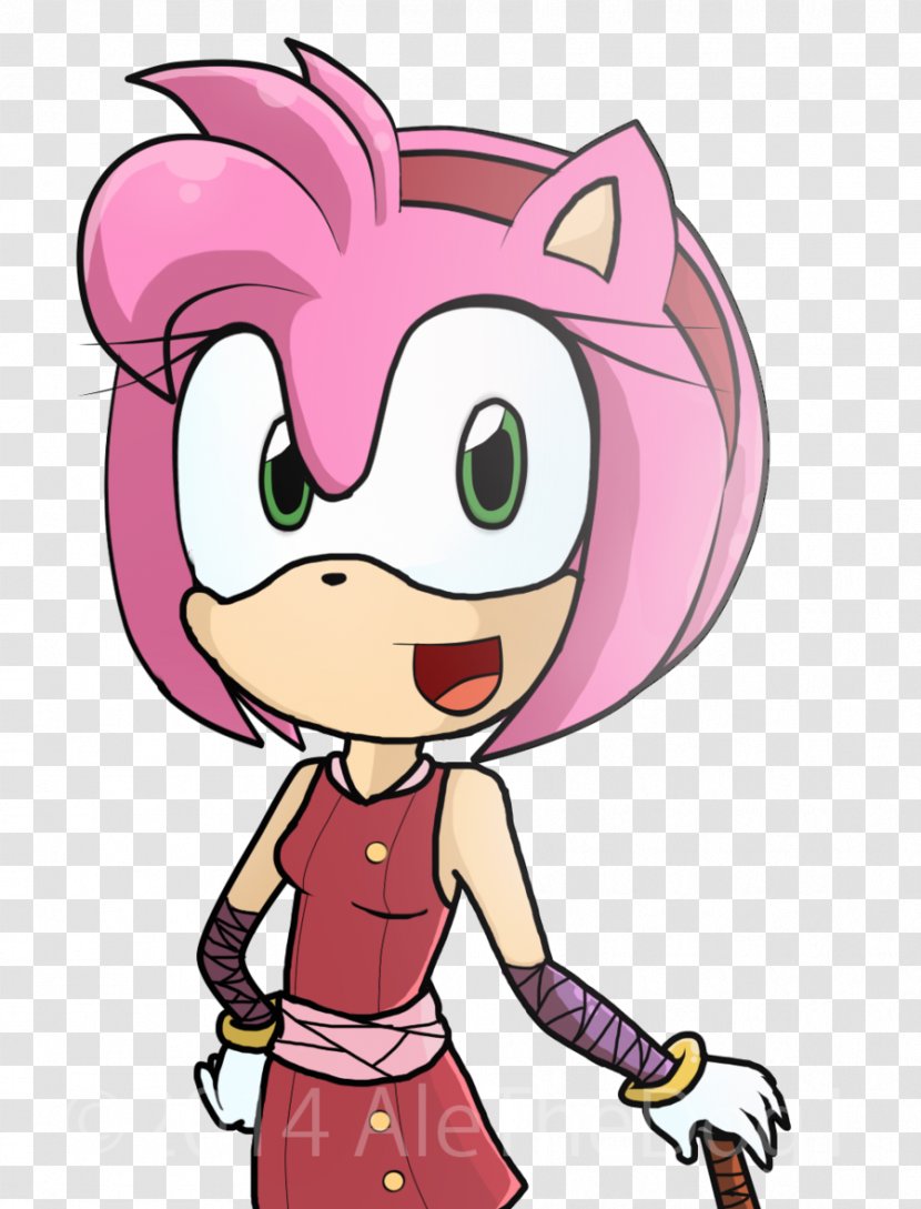 Amy Rose Sonic Riders: Zero Gravity Shadow The Hedgehog Metal - Frame Transparent PNG