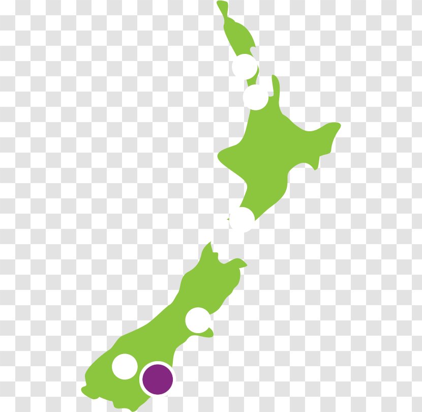 Dunedin Airport JUCY Car Rental & Campervan Hire Auckland Jucy Group Limited - Thrifty - Organism Transparent PNG