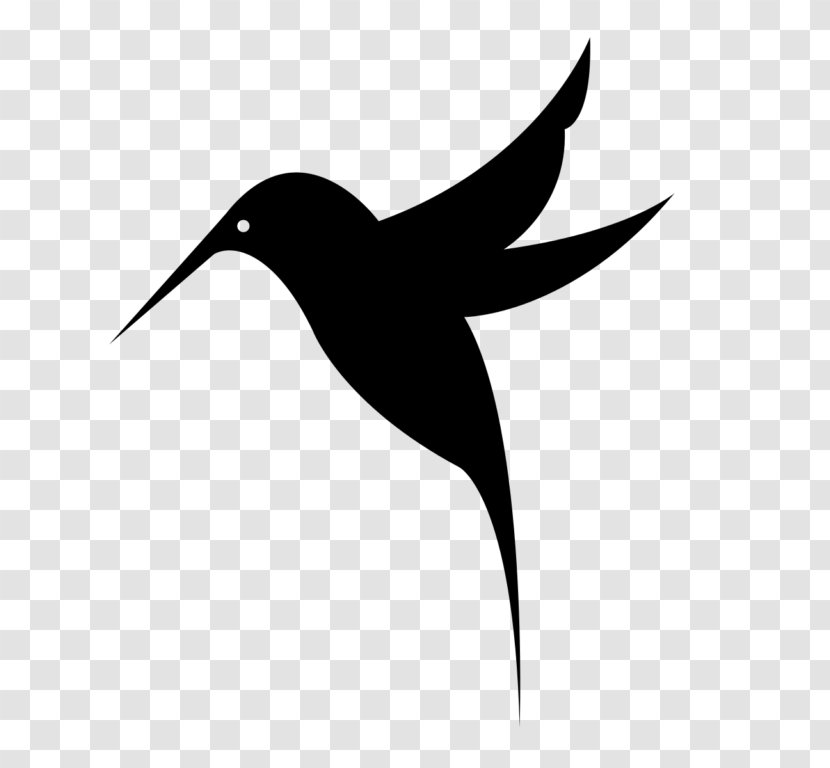 Black-chinned Hummingbird Clip Art - Black And White - Bird Transparent PNG
