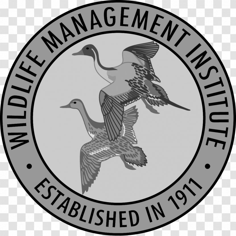 Wildlife Management United States Fish And Service Conservation - Pest Transparent PNG