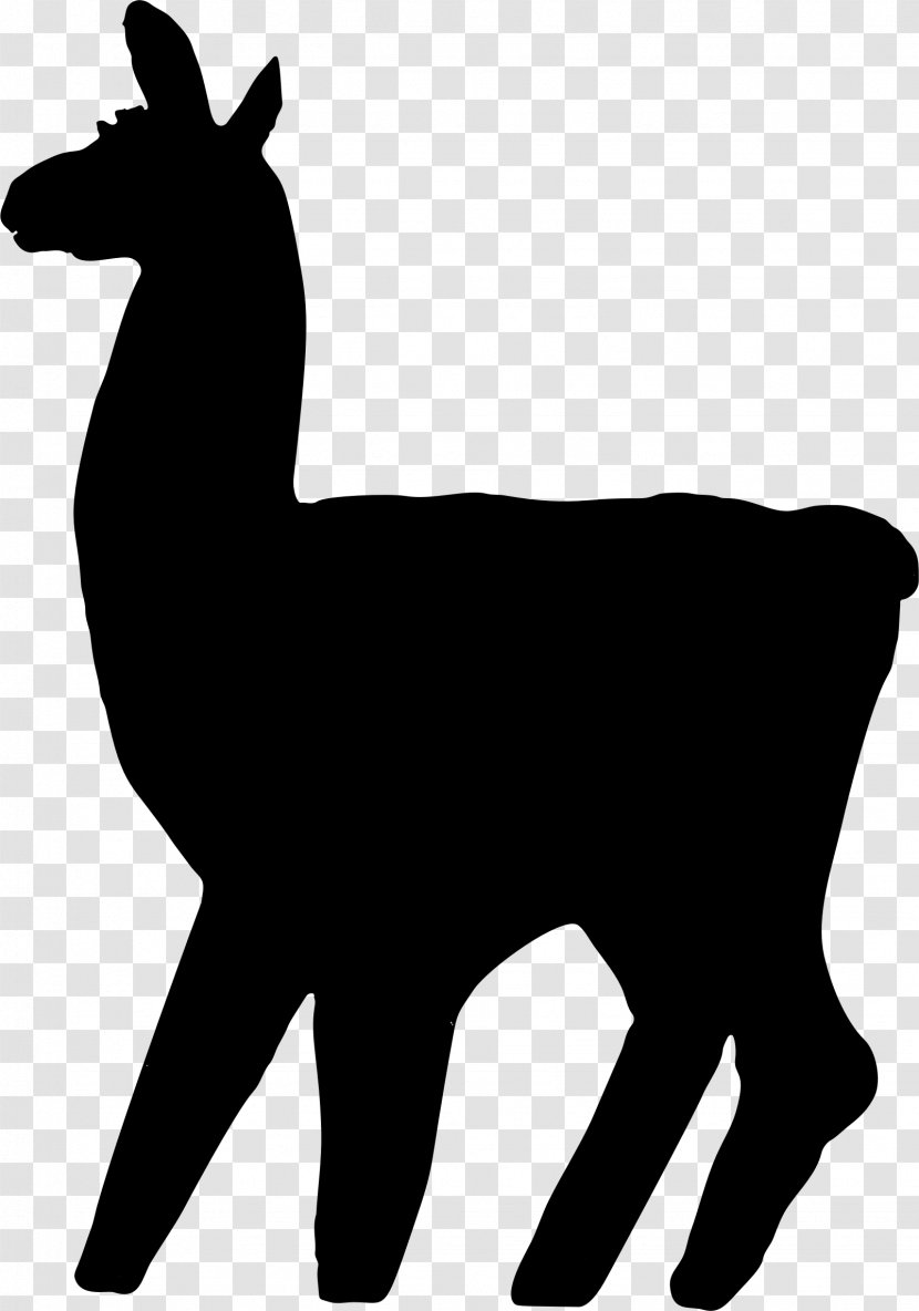 Llama Cartoon - Animal Figure - Deer Blackandwhite Transparent PNG