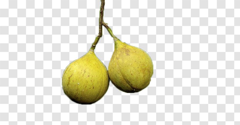 Lemon Pear - Citrus Transparent PNG
