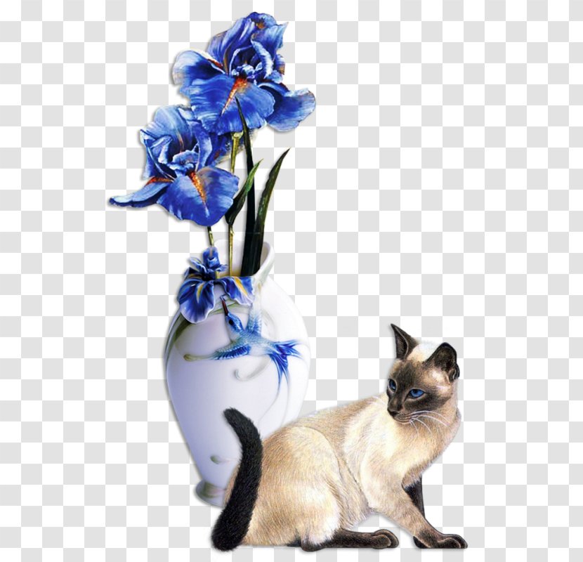 Flower Vase Rose Clip Art - Small To Medium Sized Cats - Vases And Dog Transparent PNG